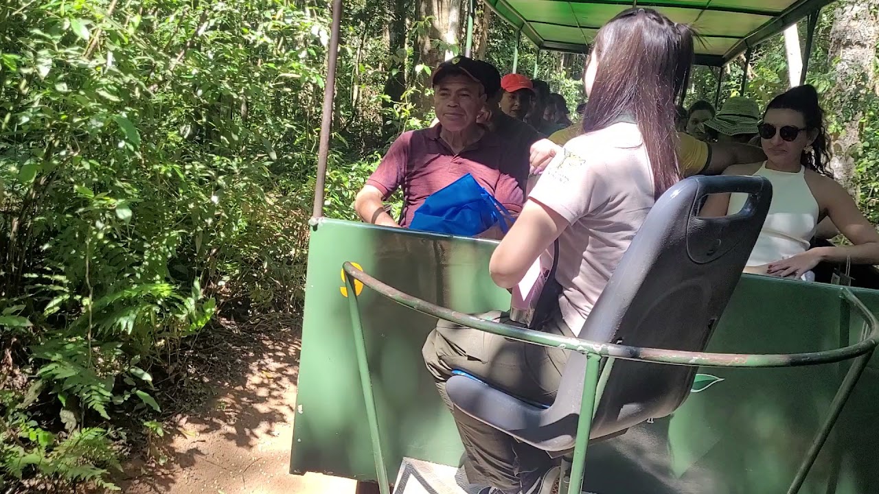 Item do acervo da família