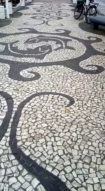 Item do acervo da família
